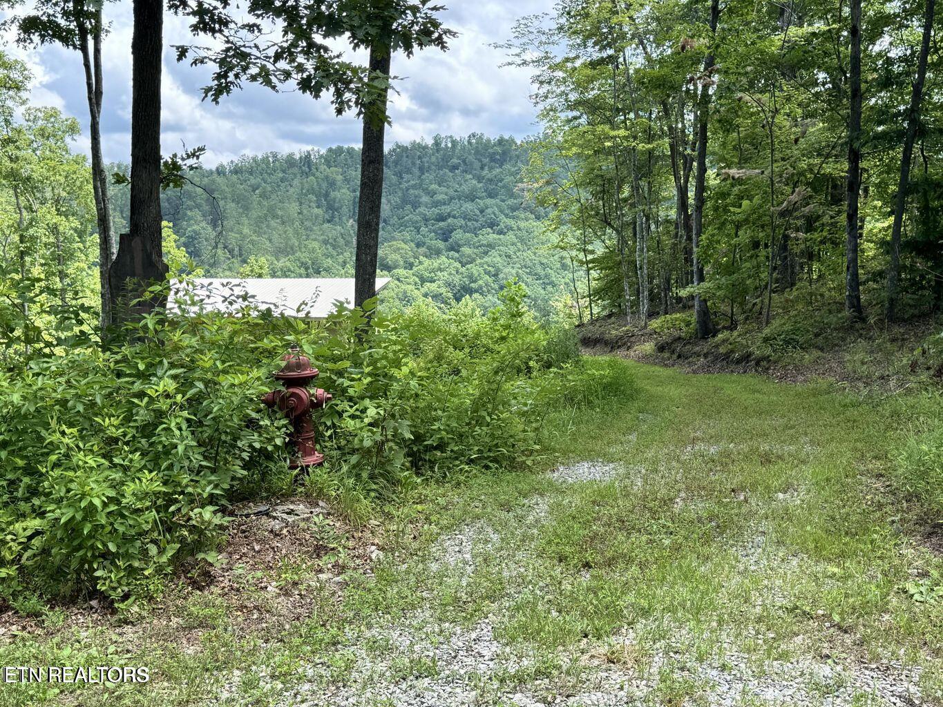 1291 Buck Lane Crawford TN 38554