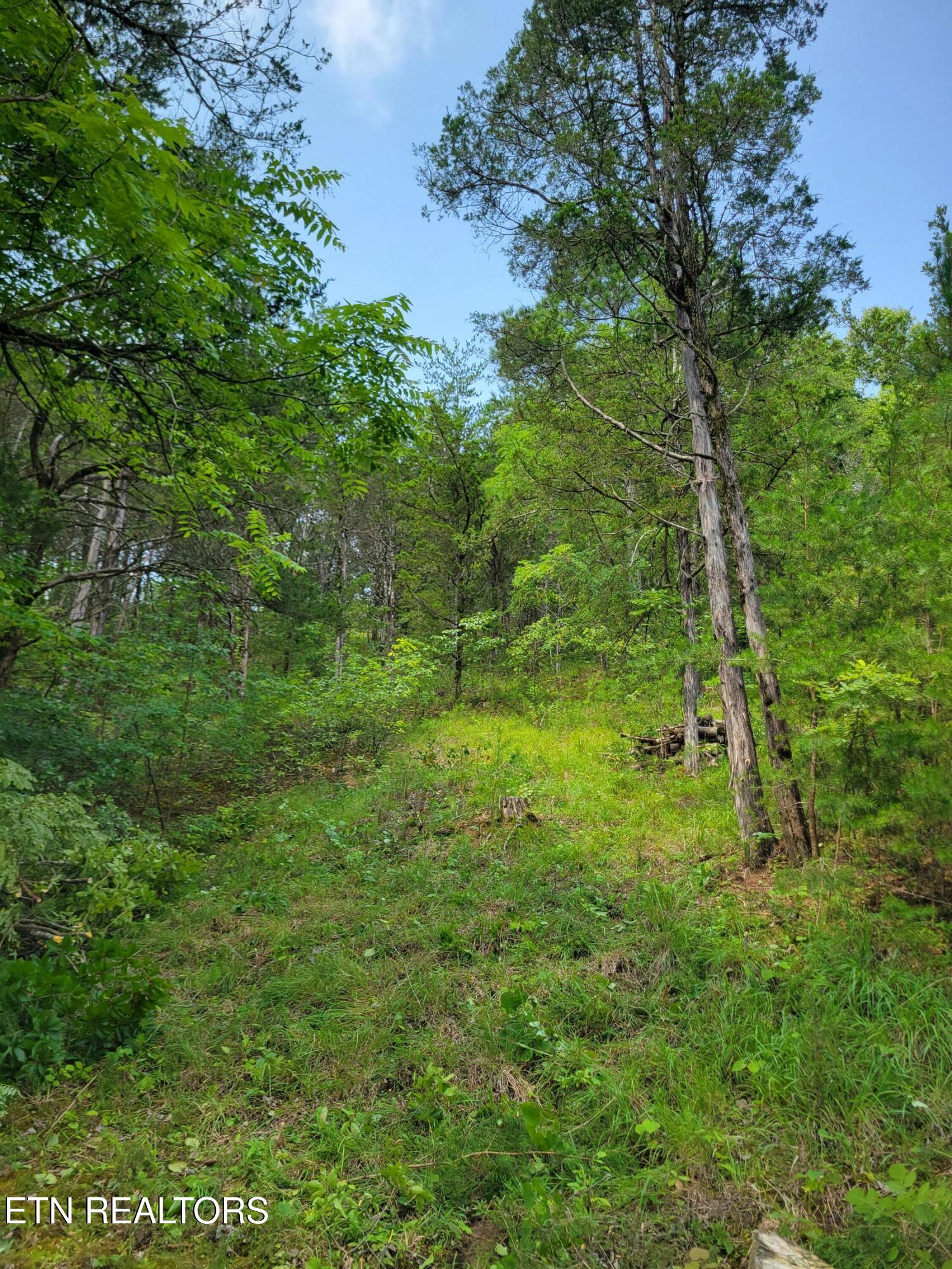 Bay View Point Sevierville TN 37876