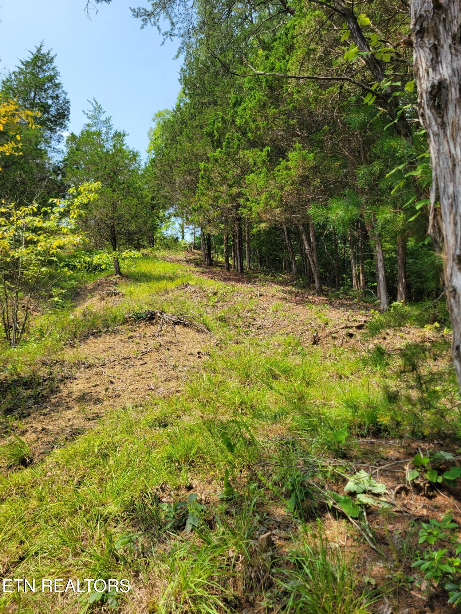 Bay View Point Sevierville TN 37876