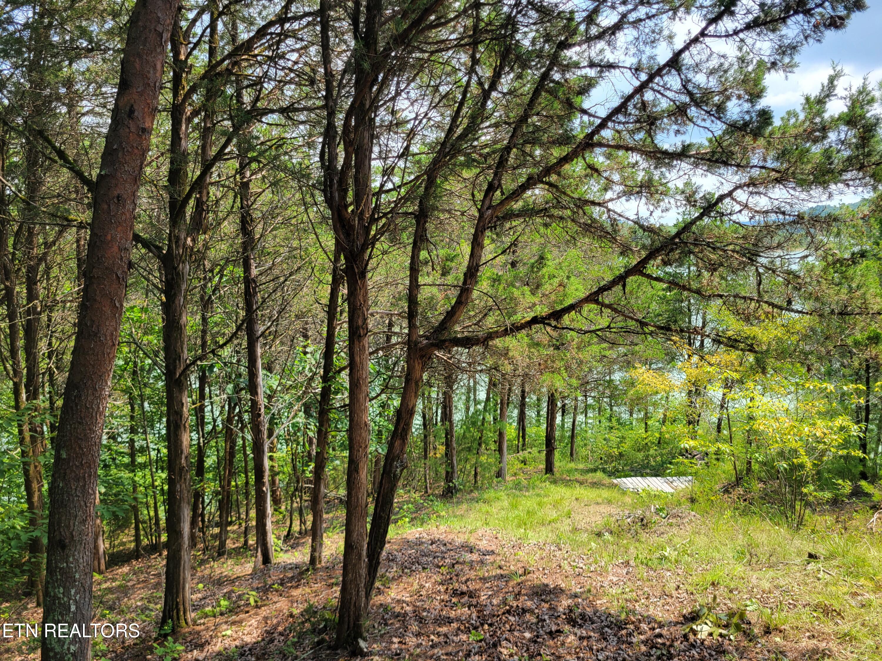 Bay View Point Sevierville TN 37876