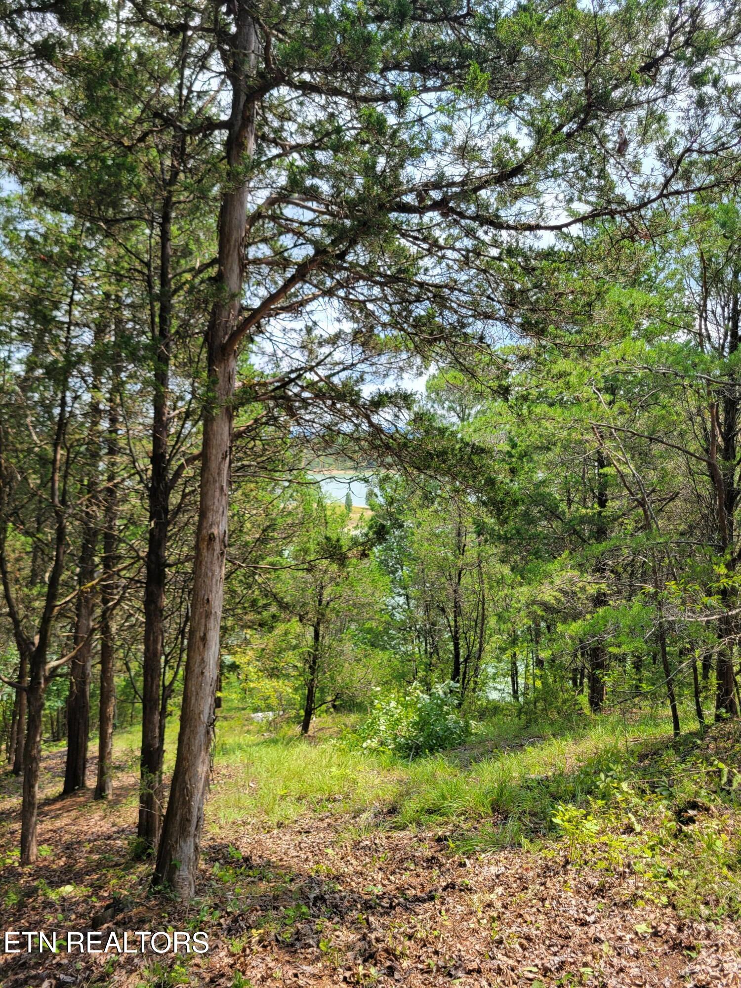 Bay View Point Sevierville TN 37876