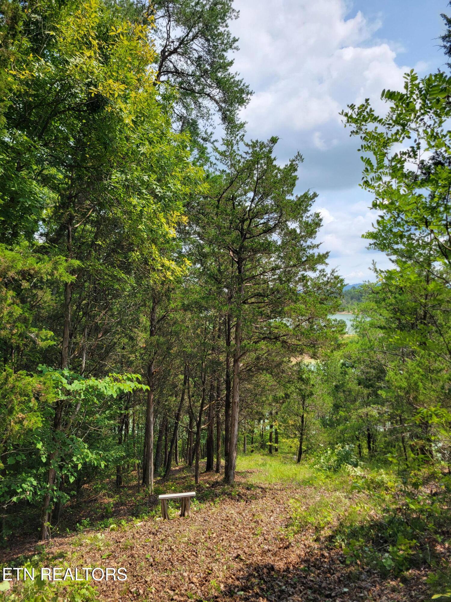Bay View Point Sevierville TN 37876