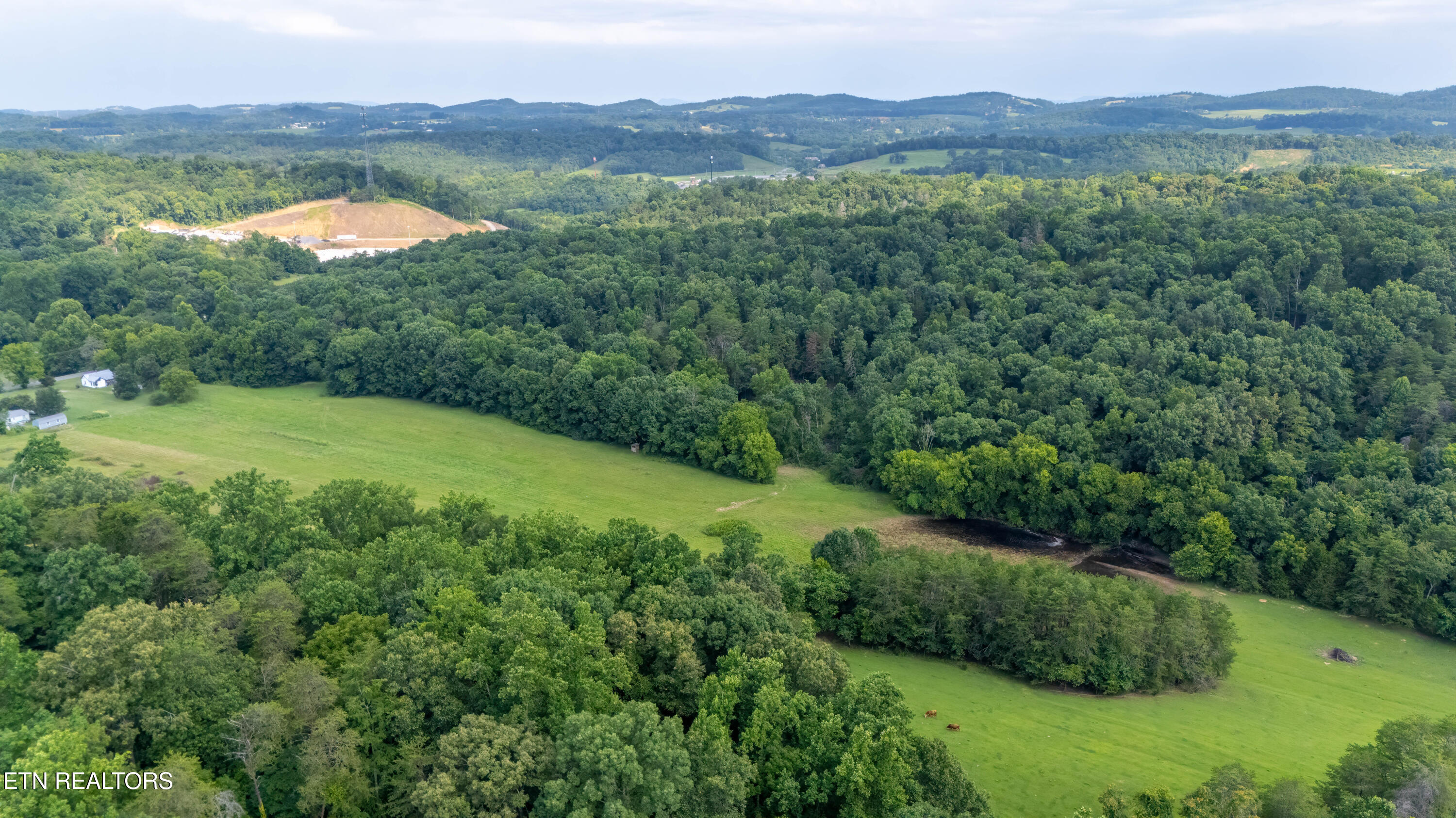 1246 Deep Springs Road Dandridge TN 37725