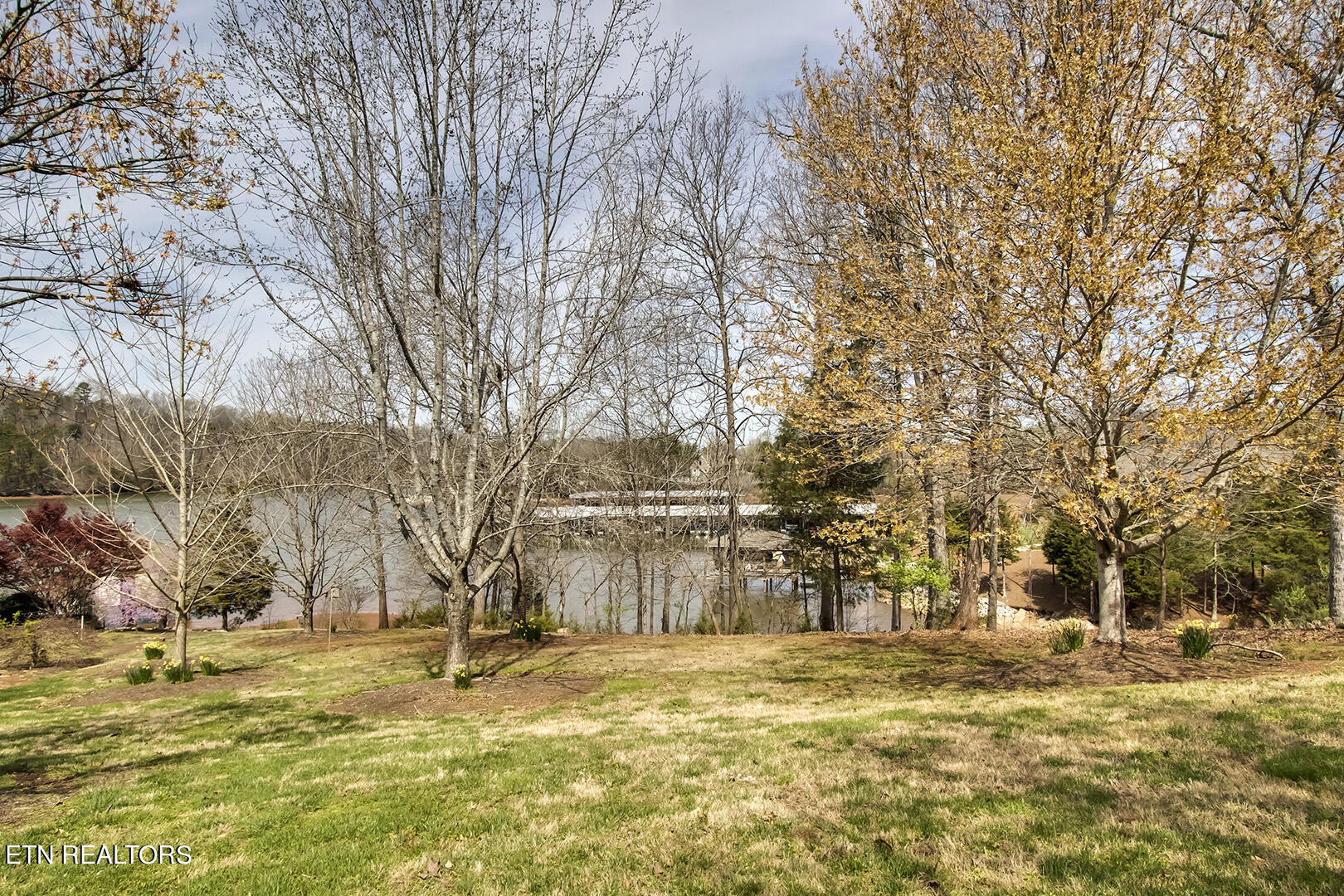 191 White Swan Drive Vonore TN 37885