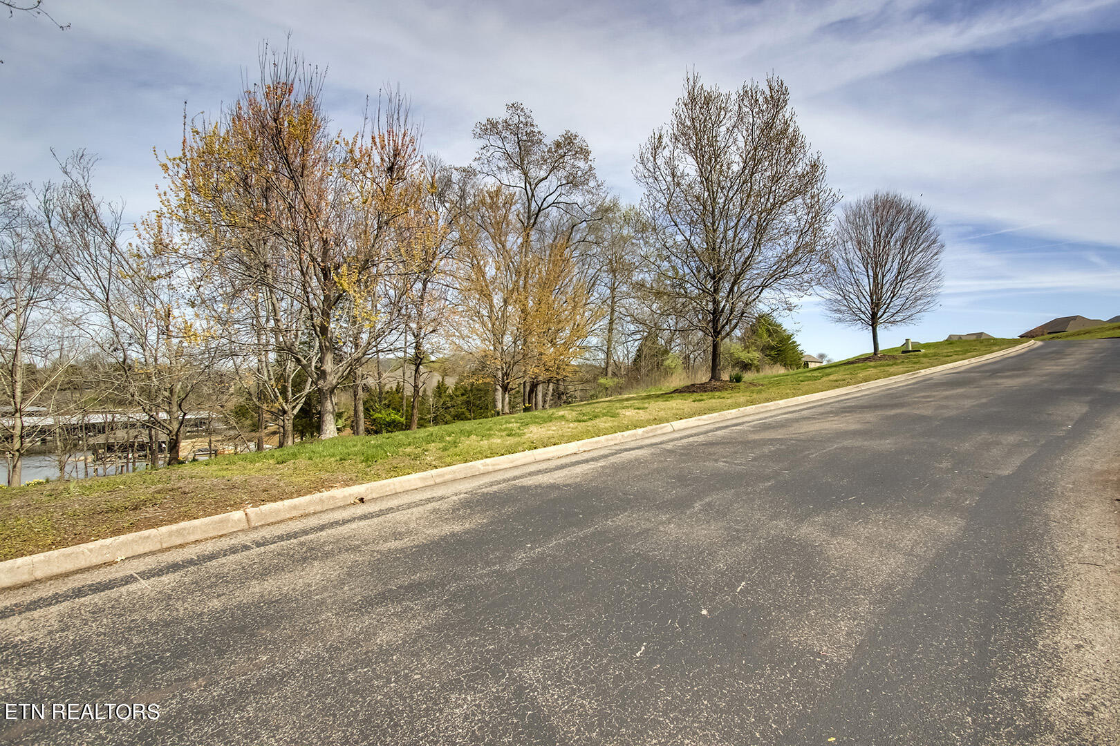191 White Swan Drive Vonore TN 37885