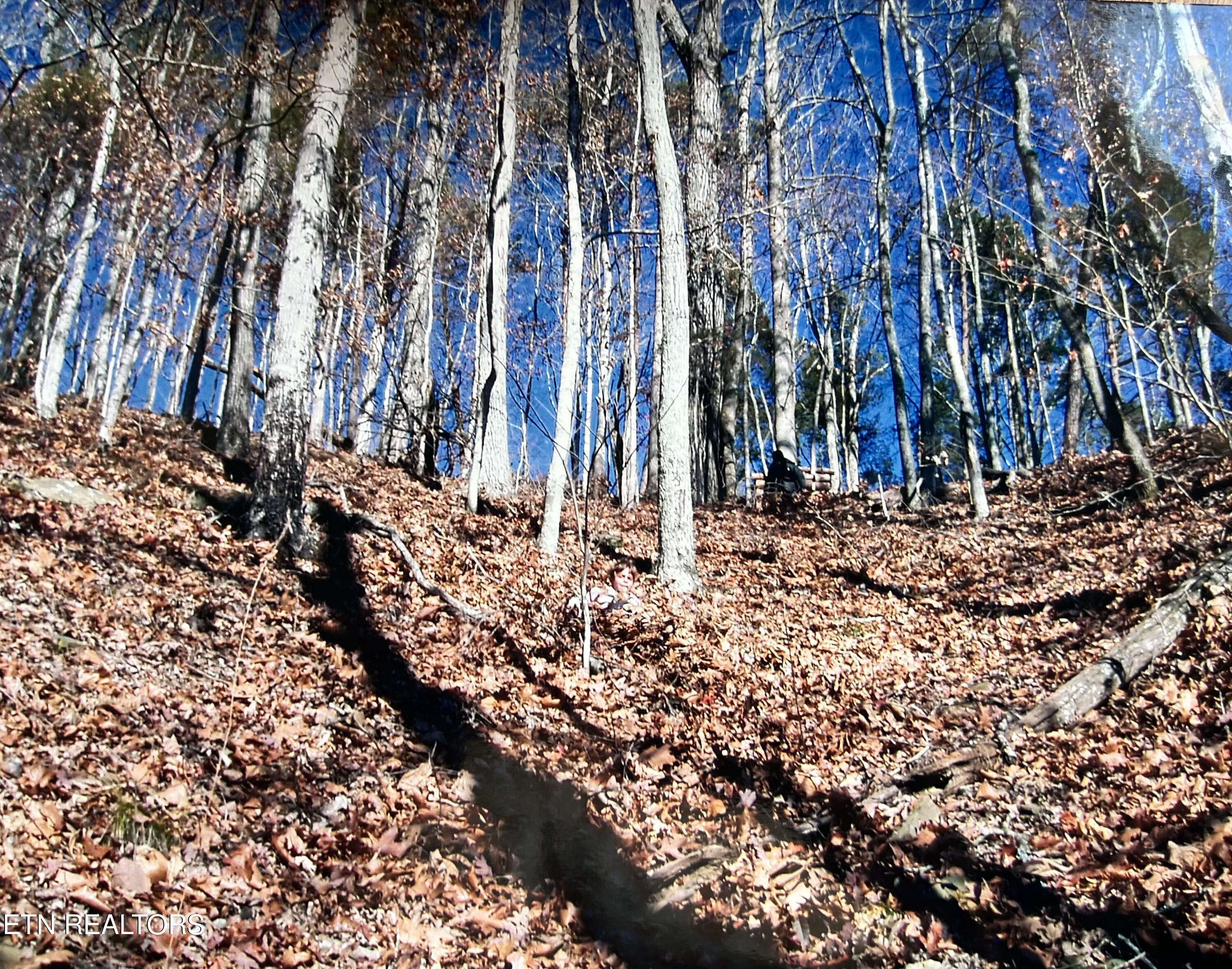 Lot 778 Russell Br Road Sharps Chapel TN 37866