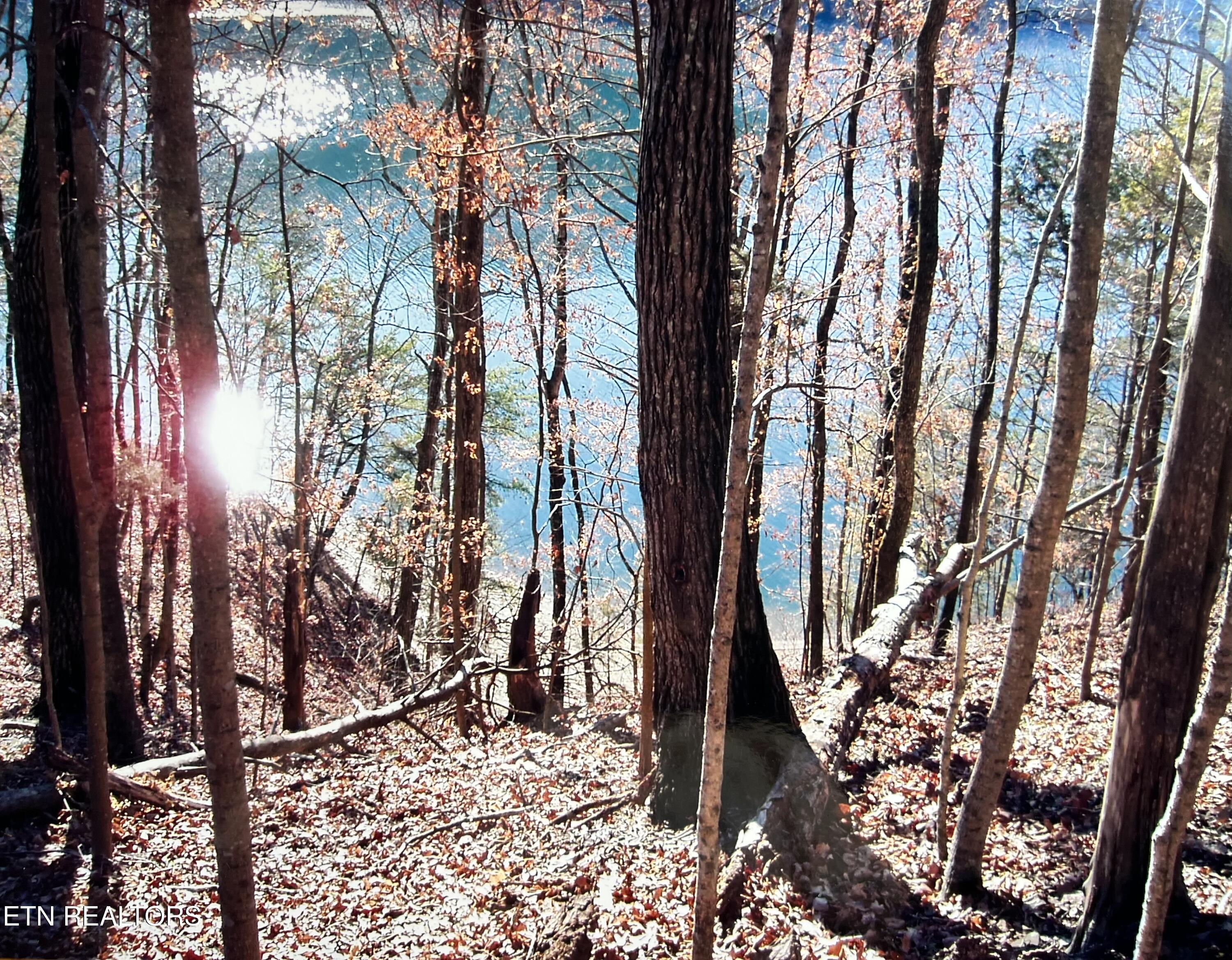 Lot 778 Russell Br Road Sharps Chapel TN 37866