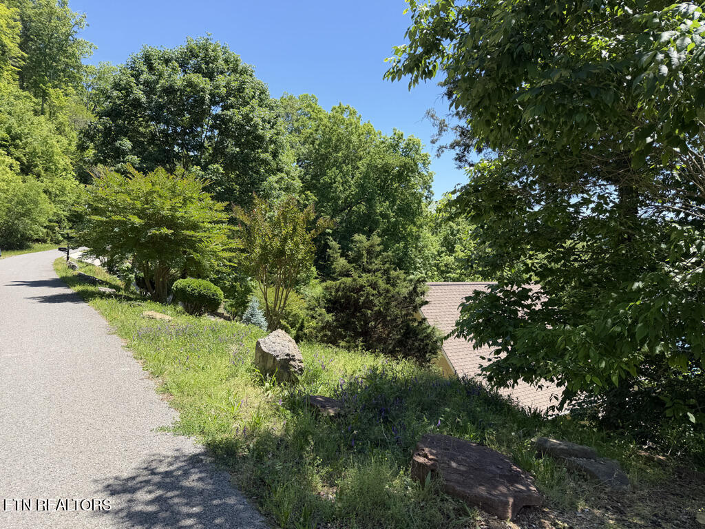 Lot 778 Russell Br Road Sharps Chapel TN 37866