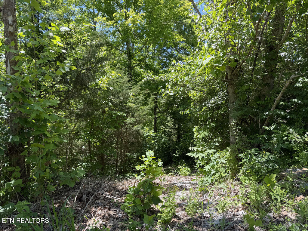 Lot 778 Russell Br Road Sharps Chapel TN 37866