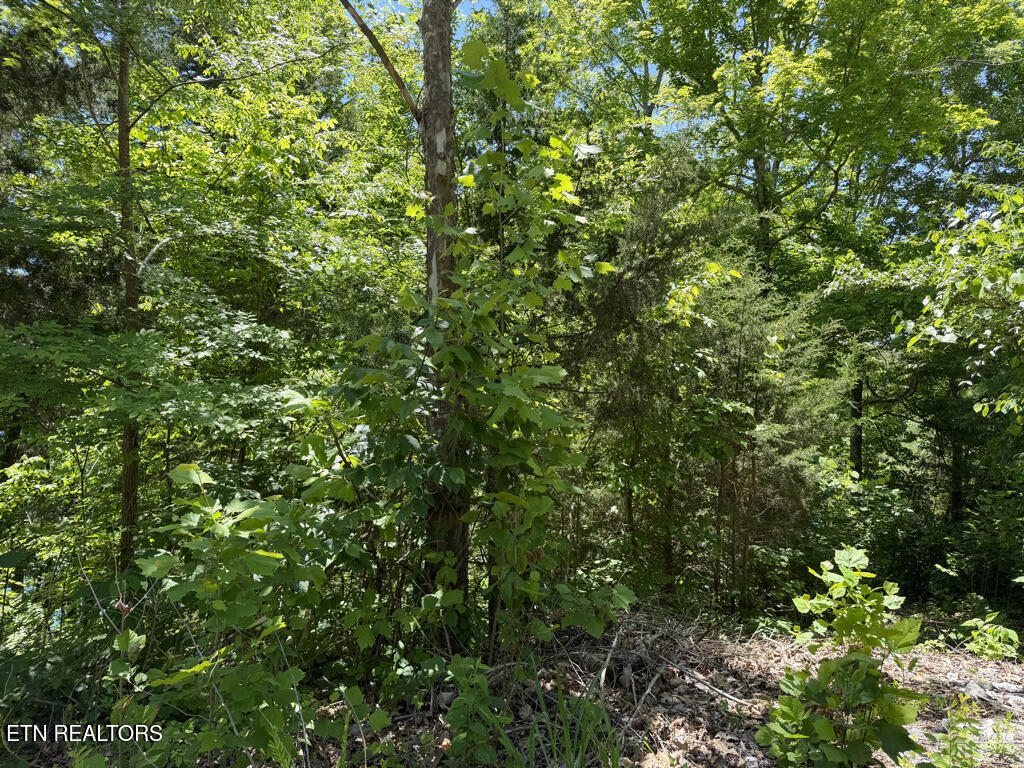 Lot 778 Russell Br Road Sharps Chapel TN 37866