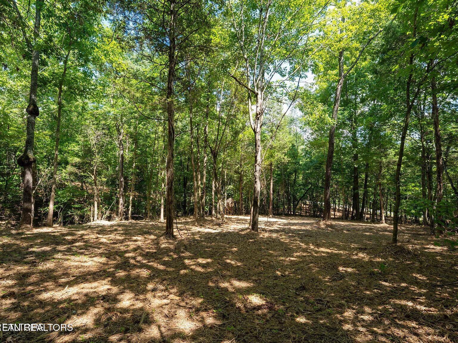 125 Pinecrest Drive Loudon TN 37774