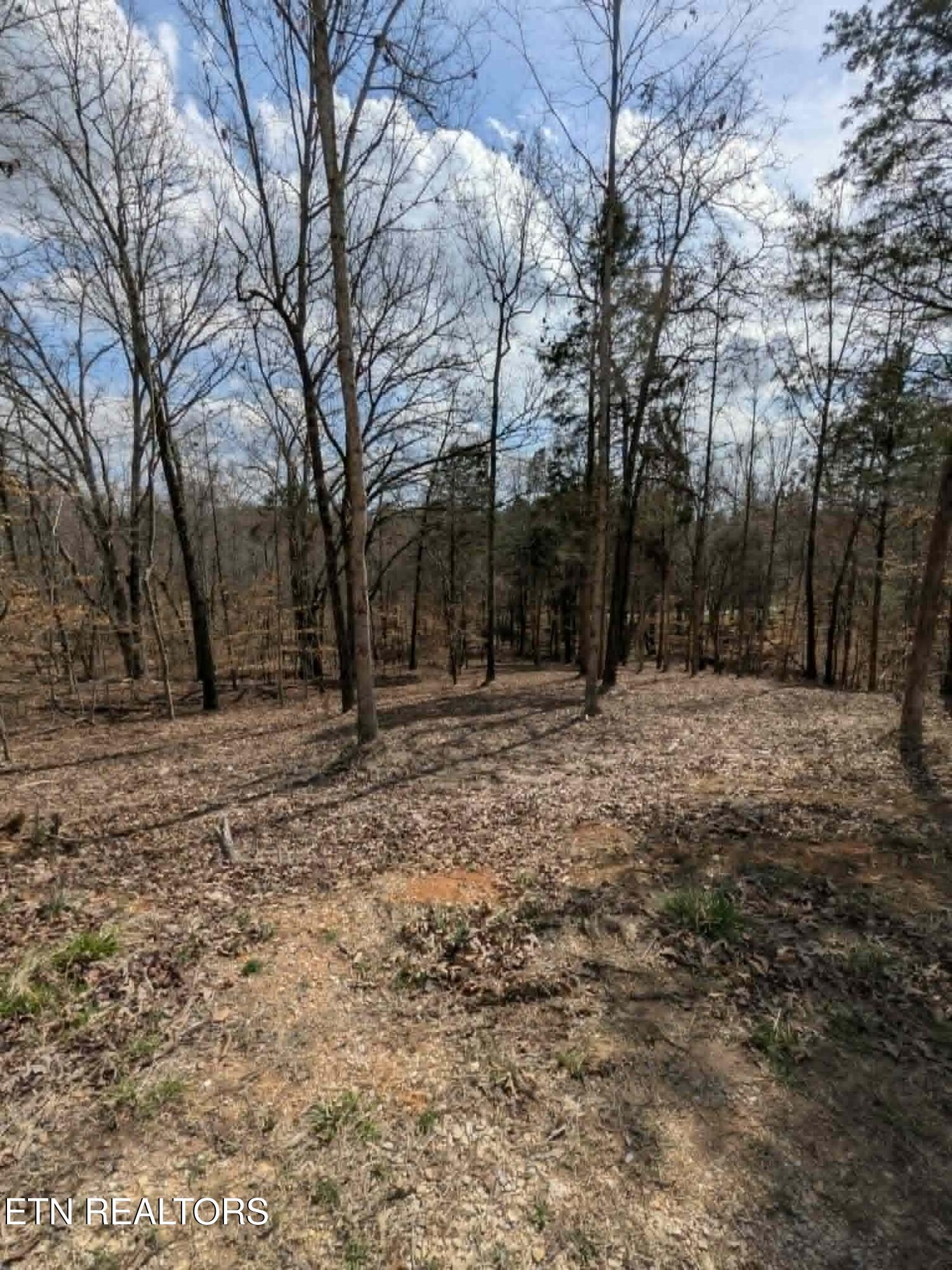 125 Pinecrest Drive Loudon TN 37774
