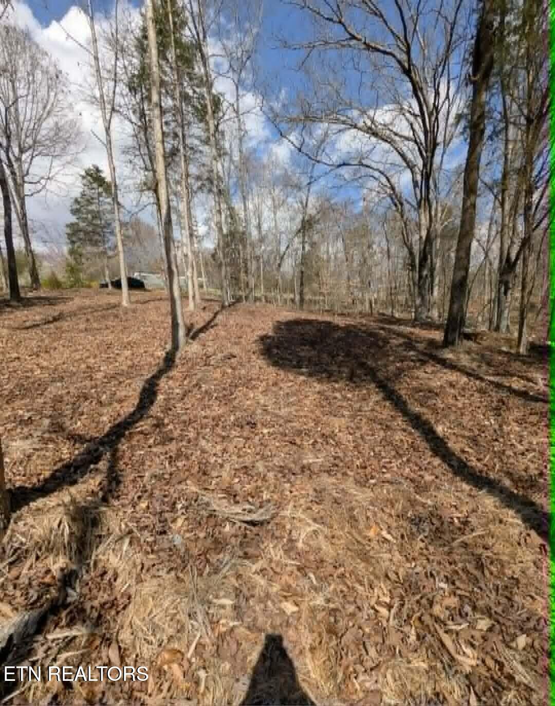 125 Pinecrest Drive Loudon TN 37774