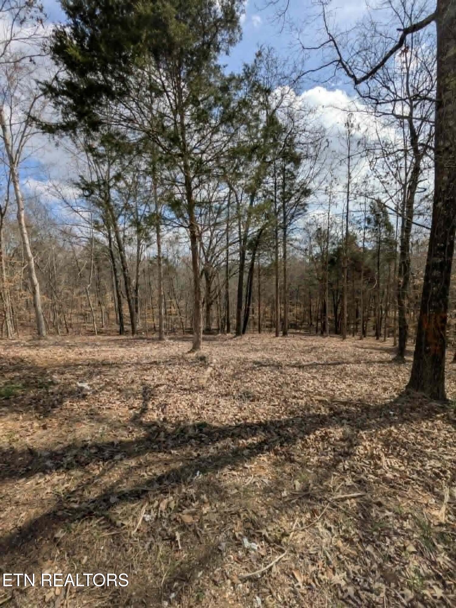 125 Pinecrest Drive Loudon TN 37774