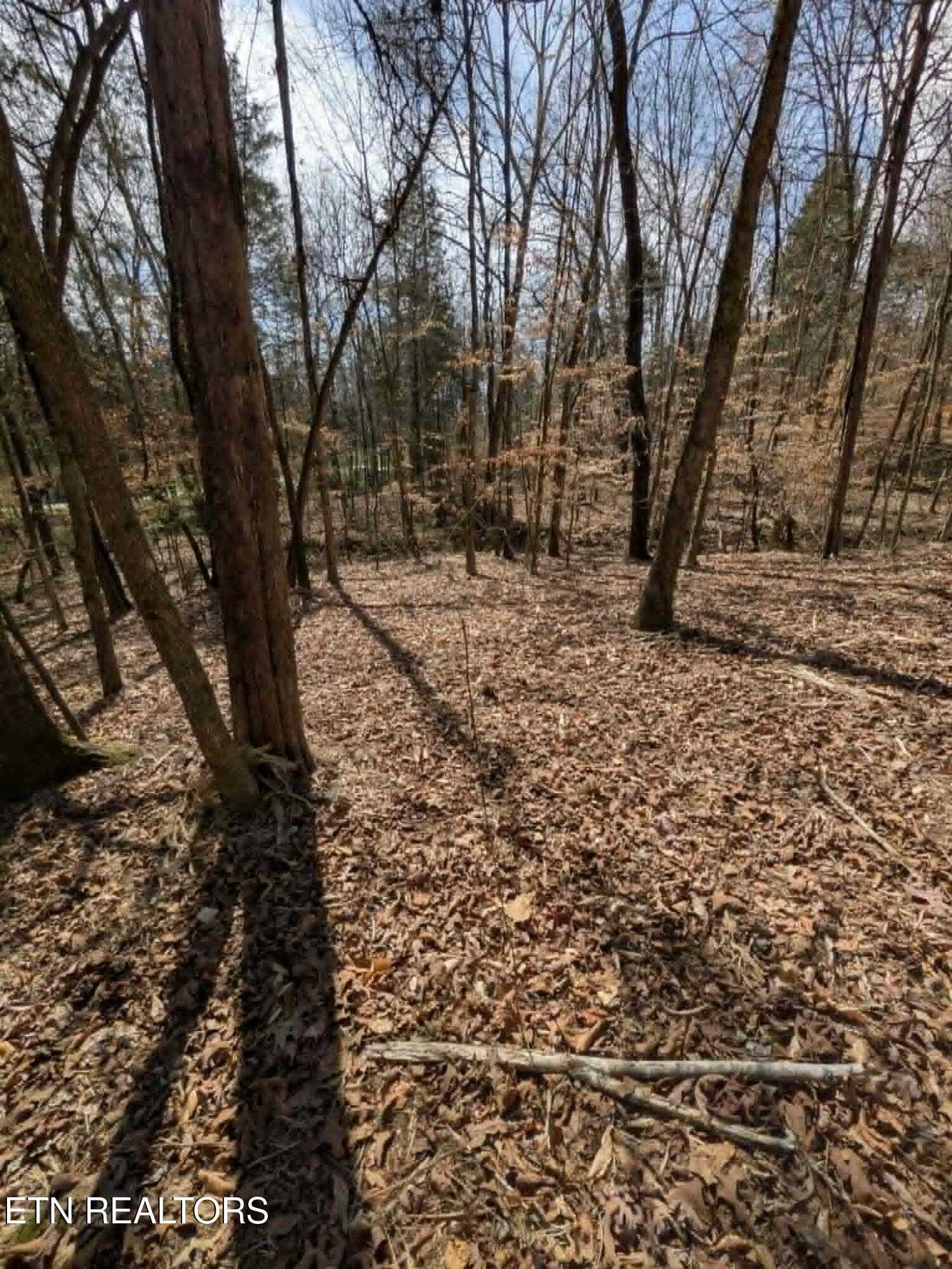 125 Pinecrest Drive Loudon TN 37774