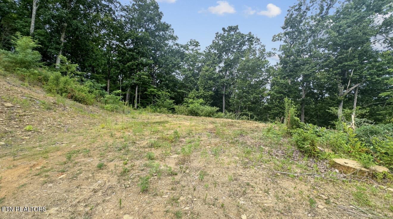 2345 Paradise Way Sevierville TN 37876
