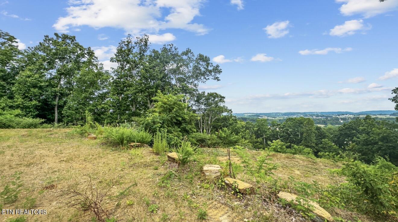 2345 Paradise Way Sevierville TN 37876