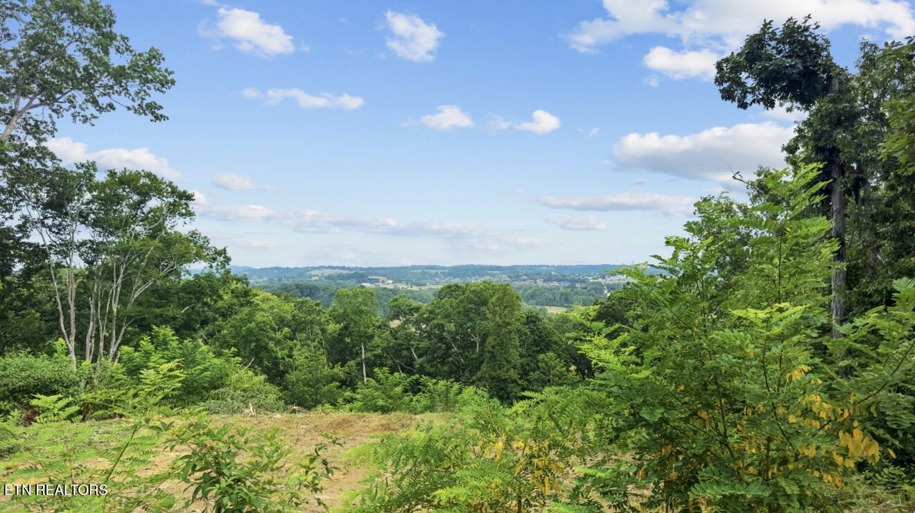 2345 Paradise Way Sevierville TN 37876