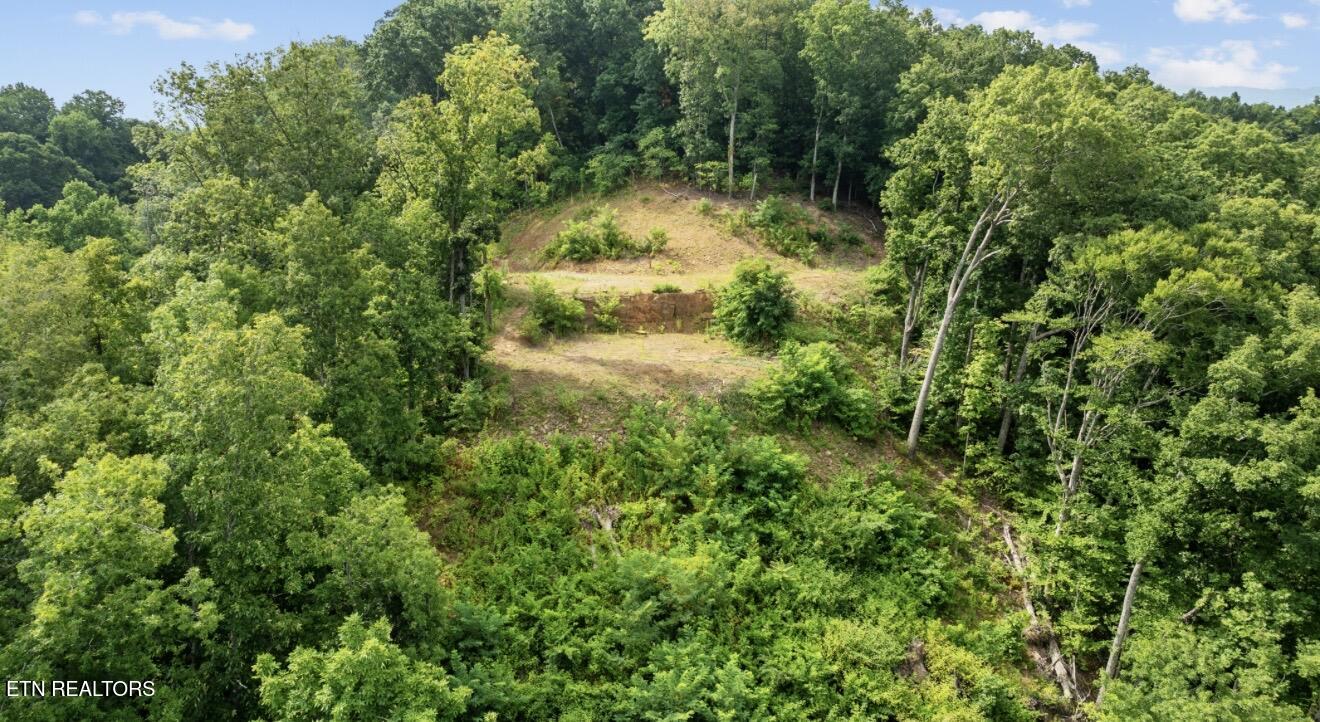 2345 Paradise Way Sevierville TN 37876