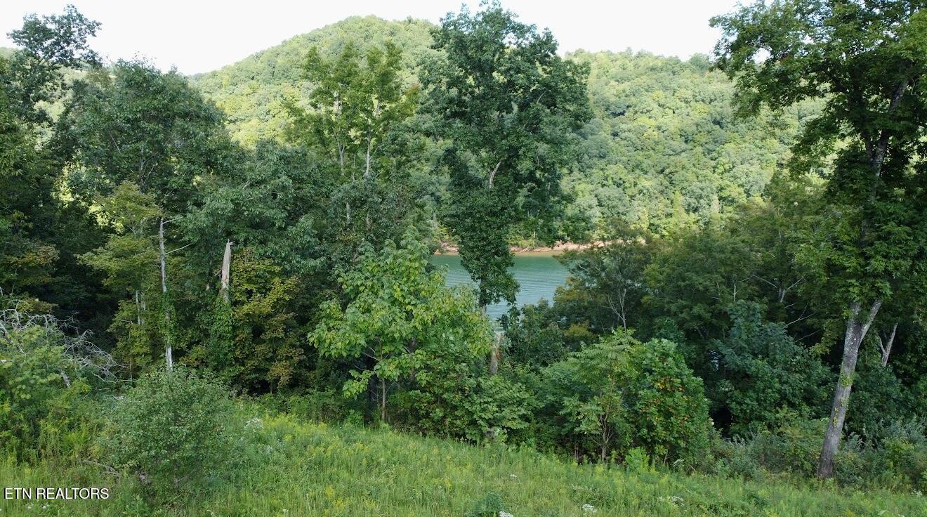 Tbd Mariner Point Road Lafollette TN 37766