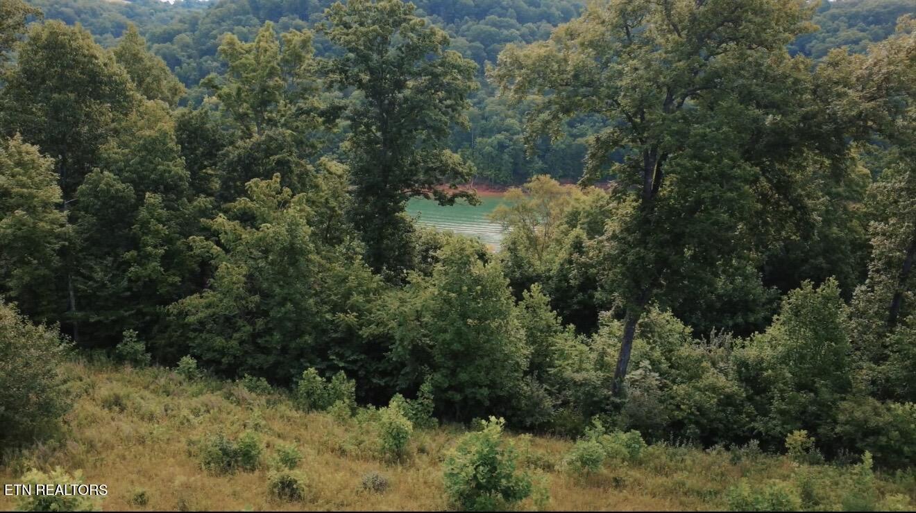 Tbd Mariner Point Road Lafollette TN 37766