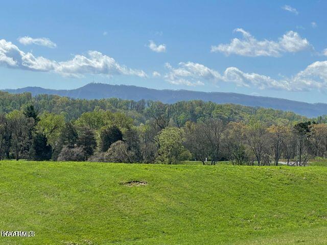 Lot 10 Temple Road Seymour TN 37865