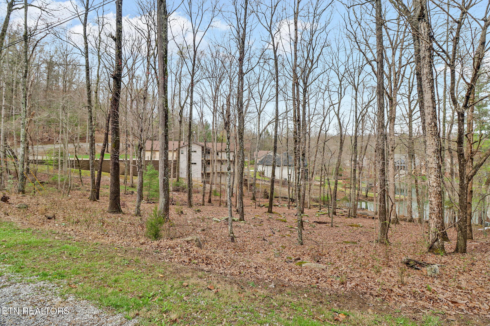 158 & 160 Lynhurst Drive Fairfield Glade TN 38558