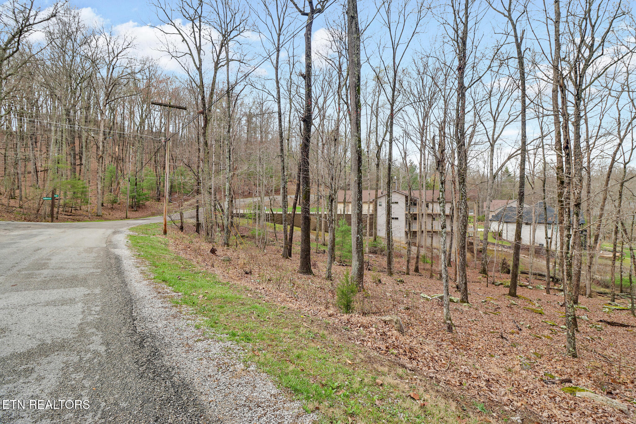 158 & 160 Lynhurst Drive Fairfield Glade TN 38558