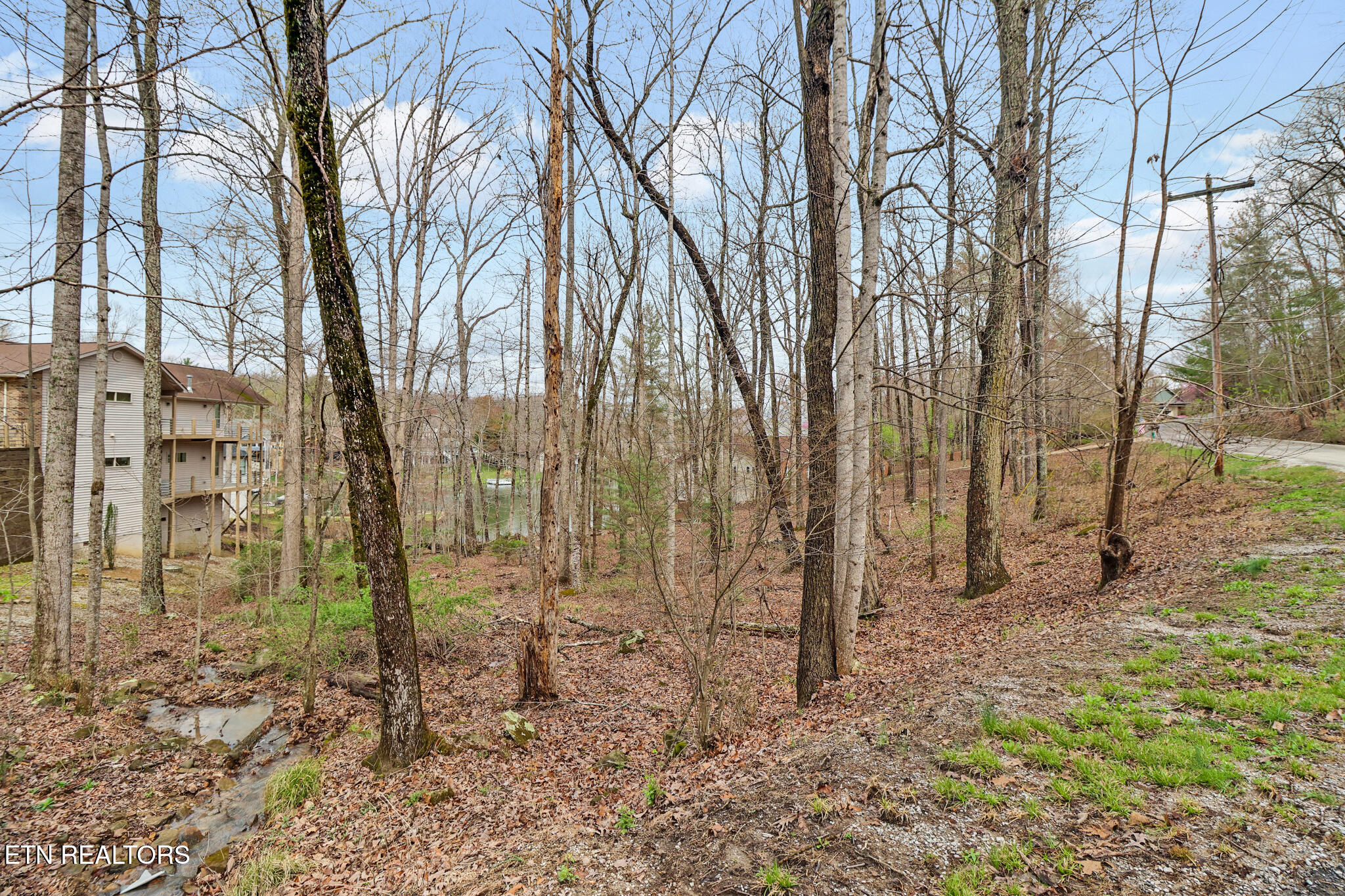 158 & 160 Lynhurst Drive Fairfield Glade TN 38558