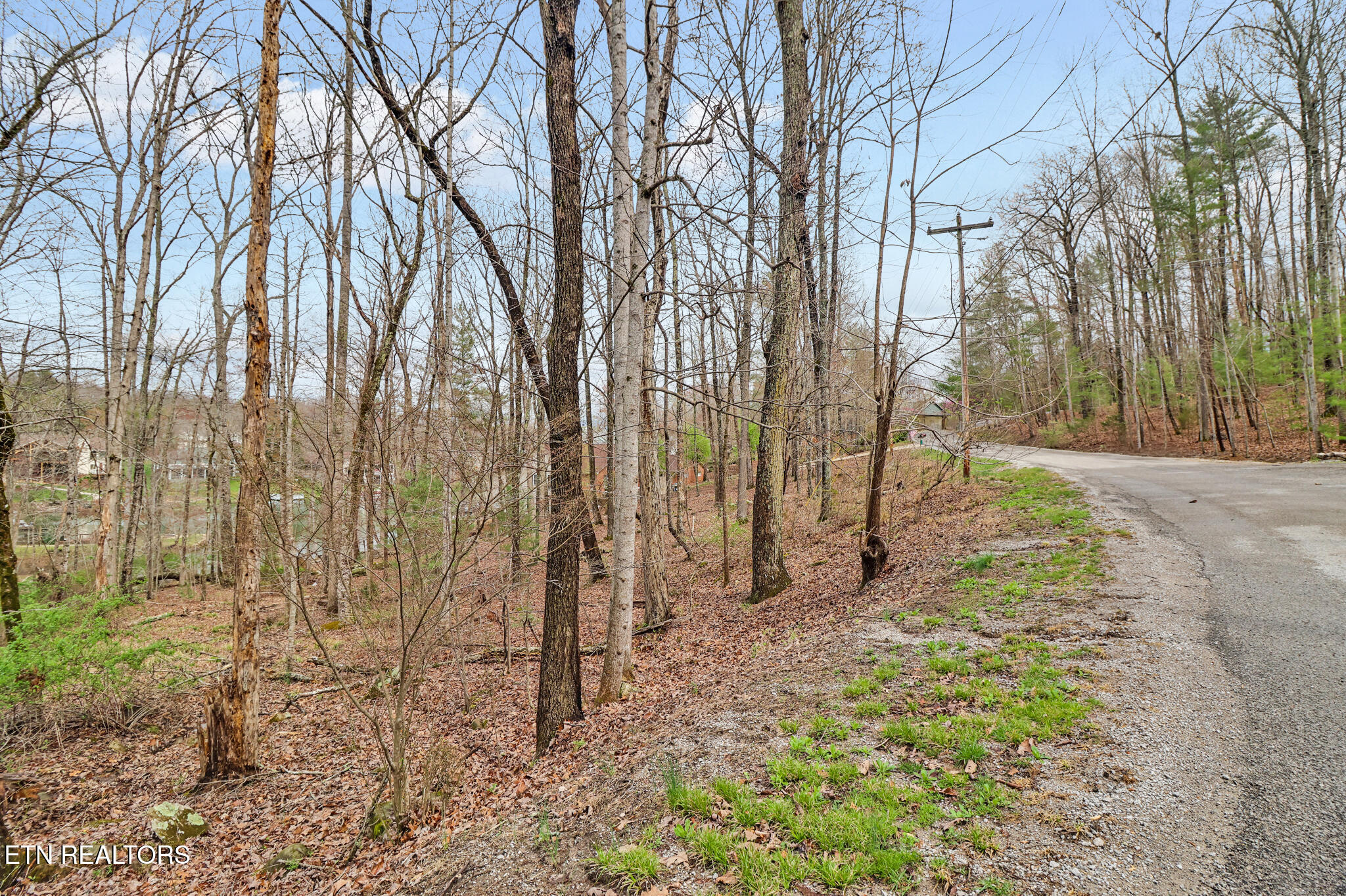 158 & 160 Lynhurst Drive Fairfield Glade TN 38558
