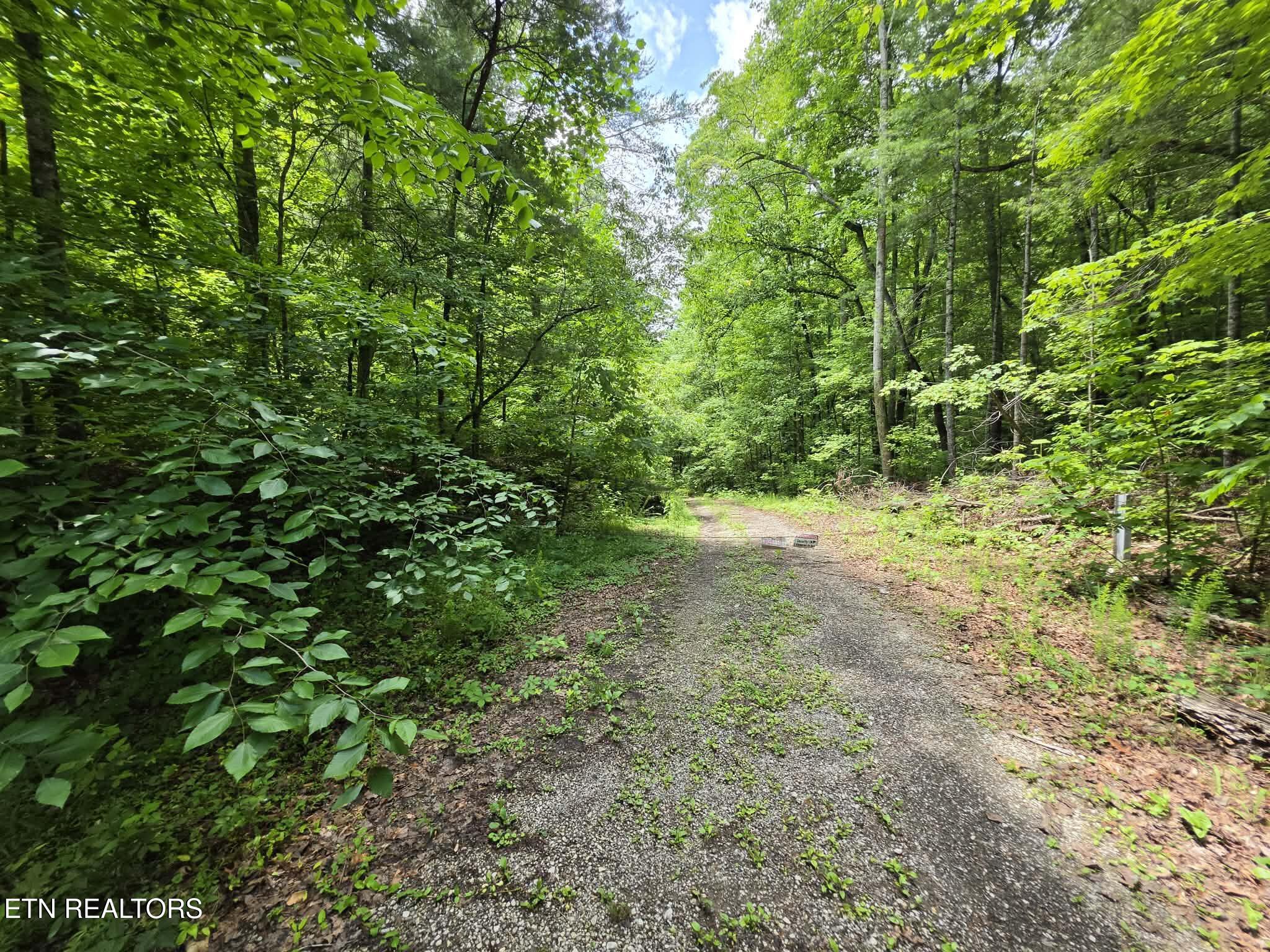 195 Sherwood Lane Harriman TN 37748