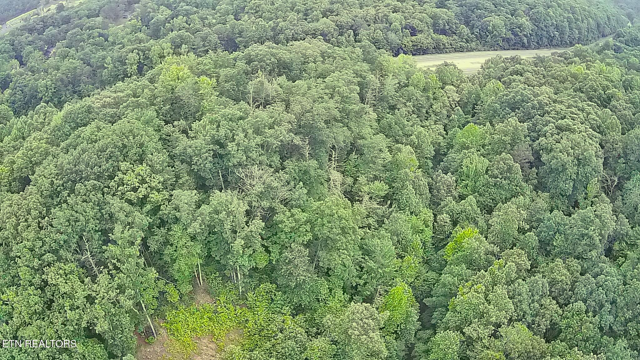 195 Sherwood Lane Harriman TN 37748