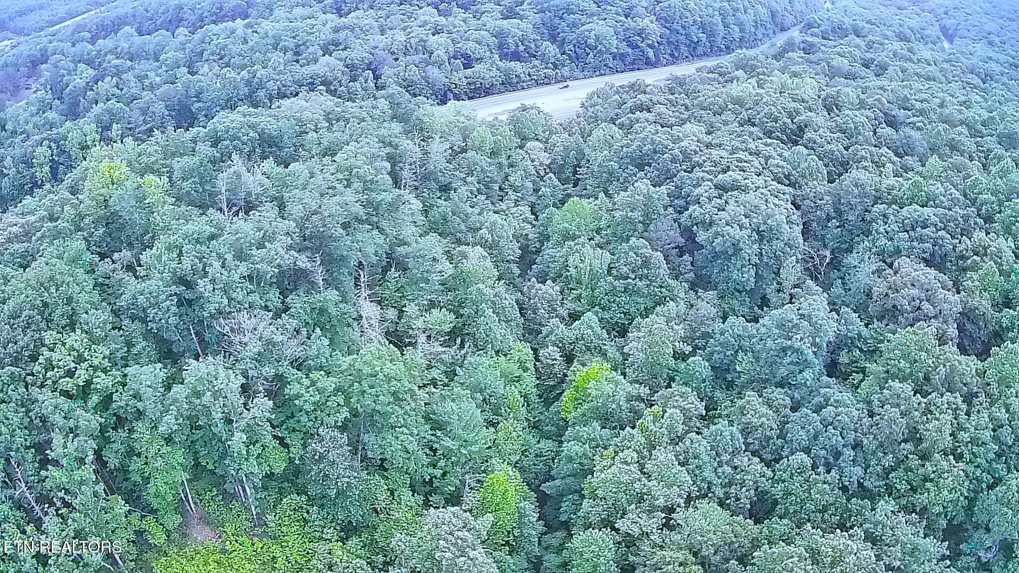 195 Sherwood Lane Harriman TN 37748