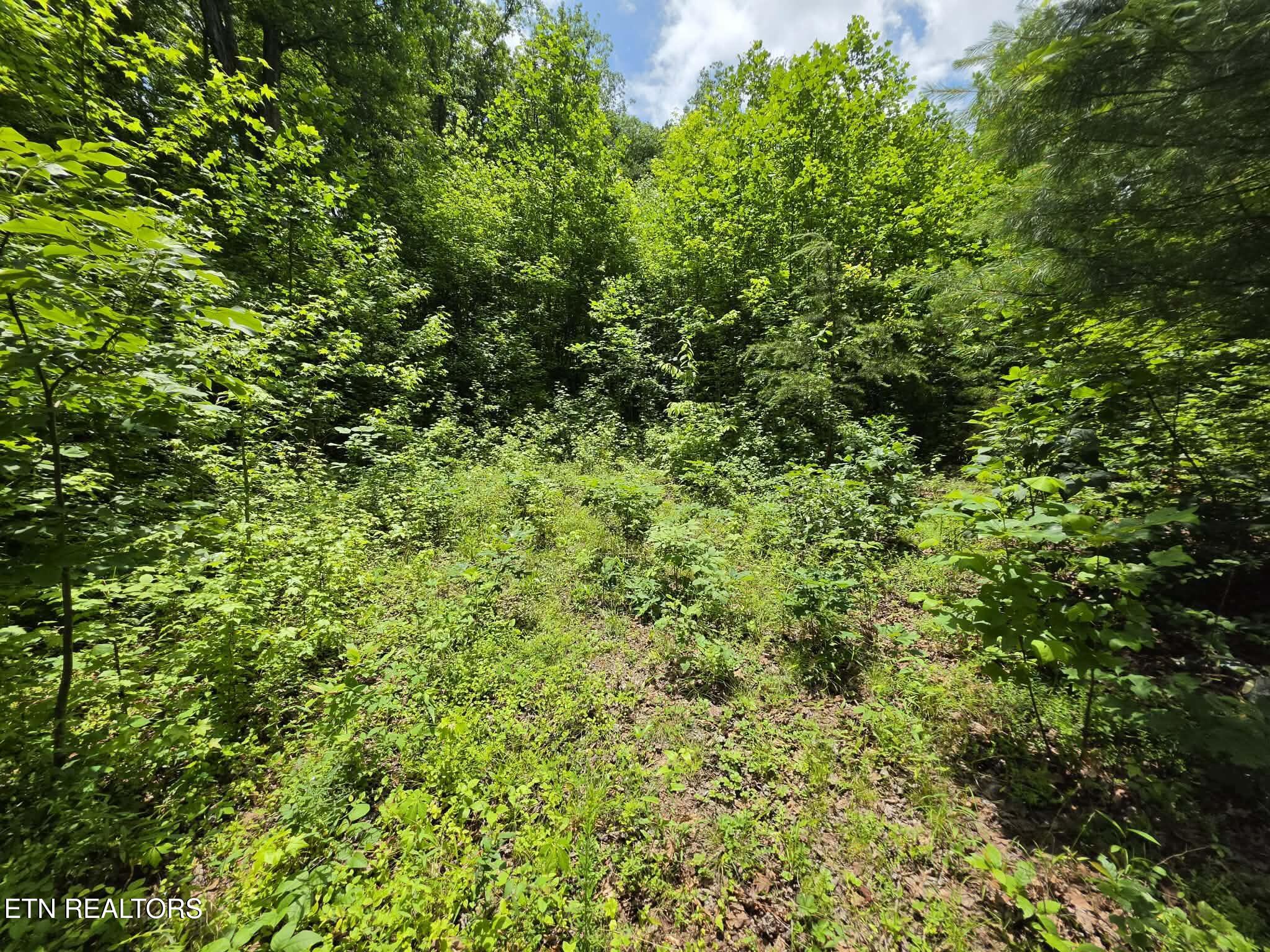 195 Sherwood Lane Harriman TN 37748