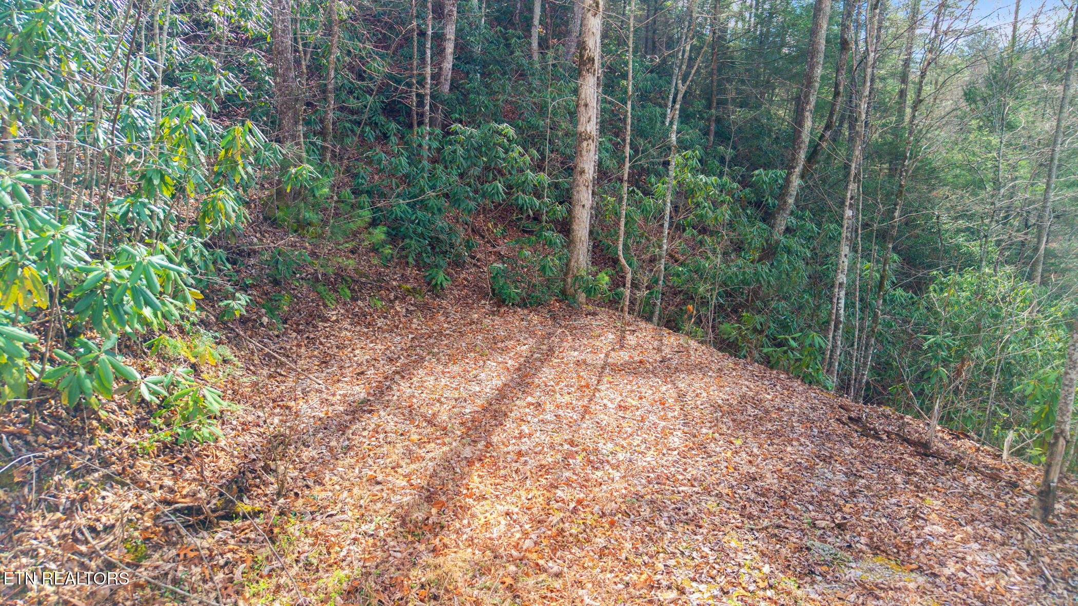 Little Cove Church Road Sevierville TN 37862