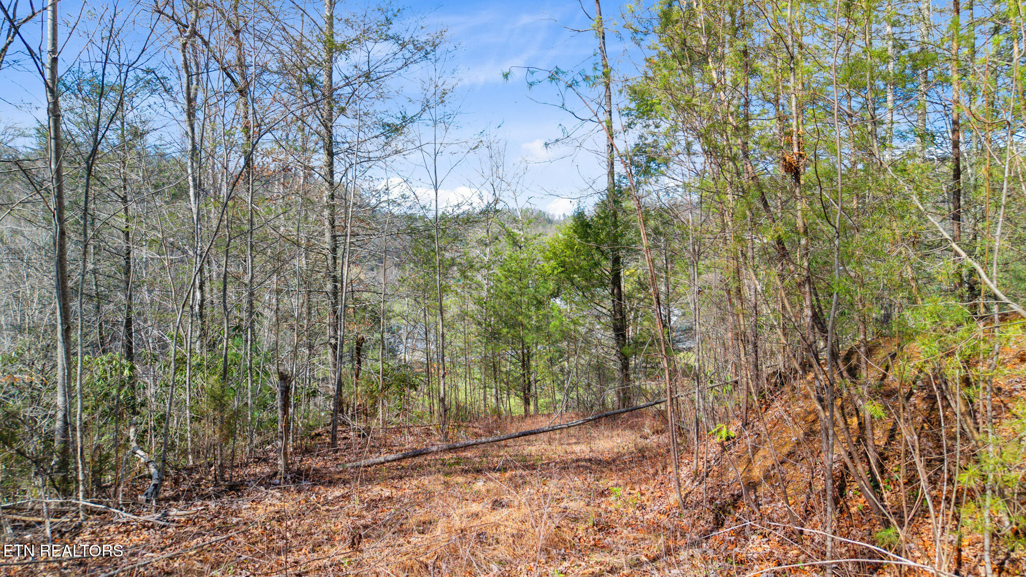 Little Cove Church Road Sevierville TN 37862