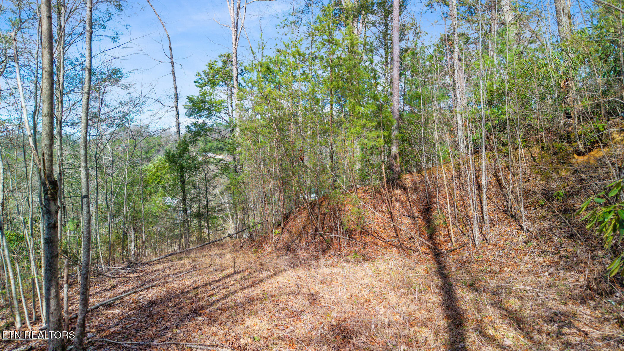 Little Cove Church Road Sevierville TN 37862