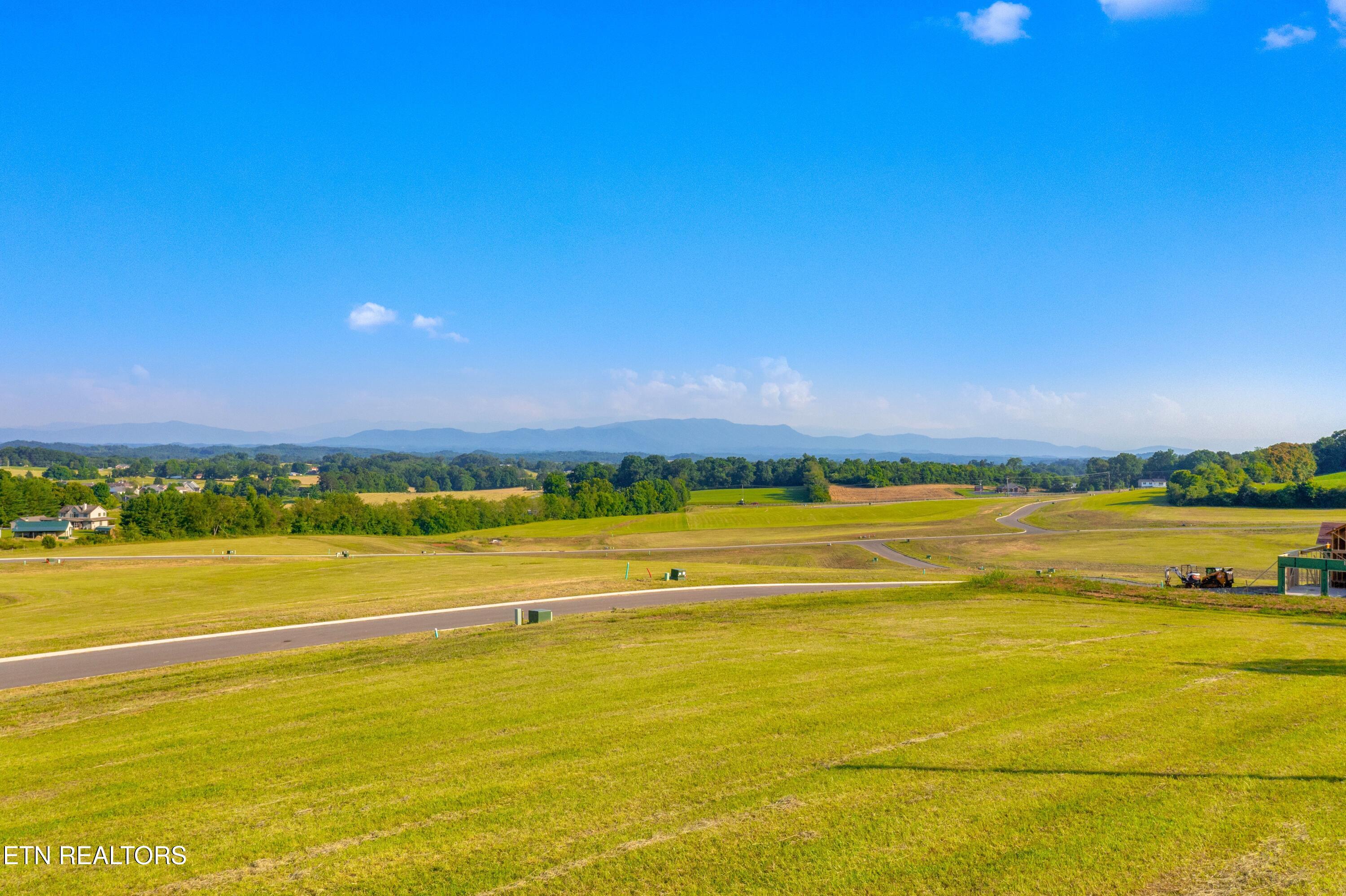 Lot 71 Vista Ridge Drive White Pine TN 37890