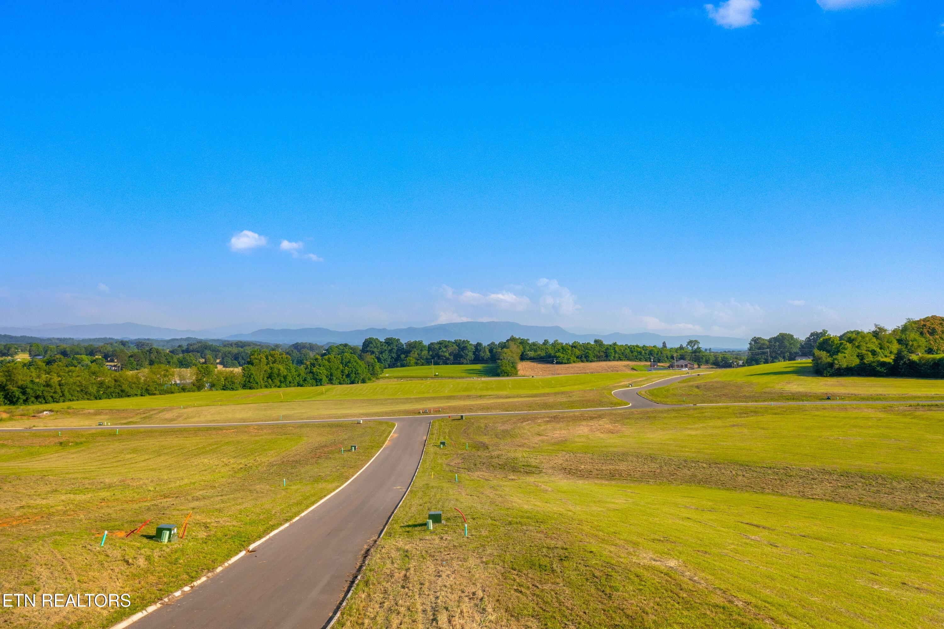 Lot 71 Vista Ridge Drive White Pine TN 37890