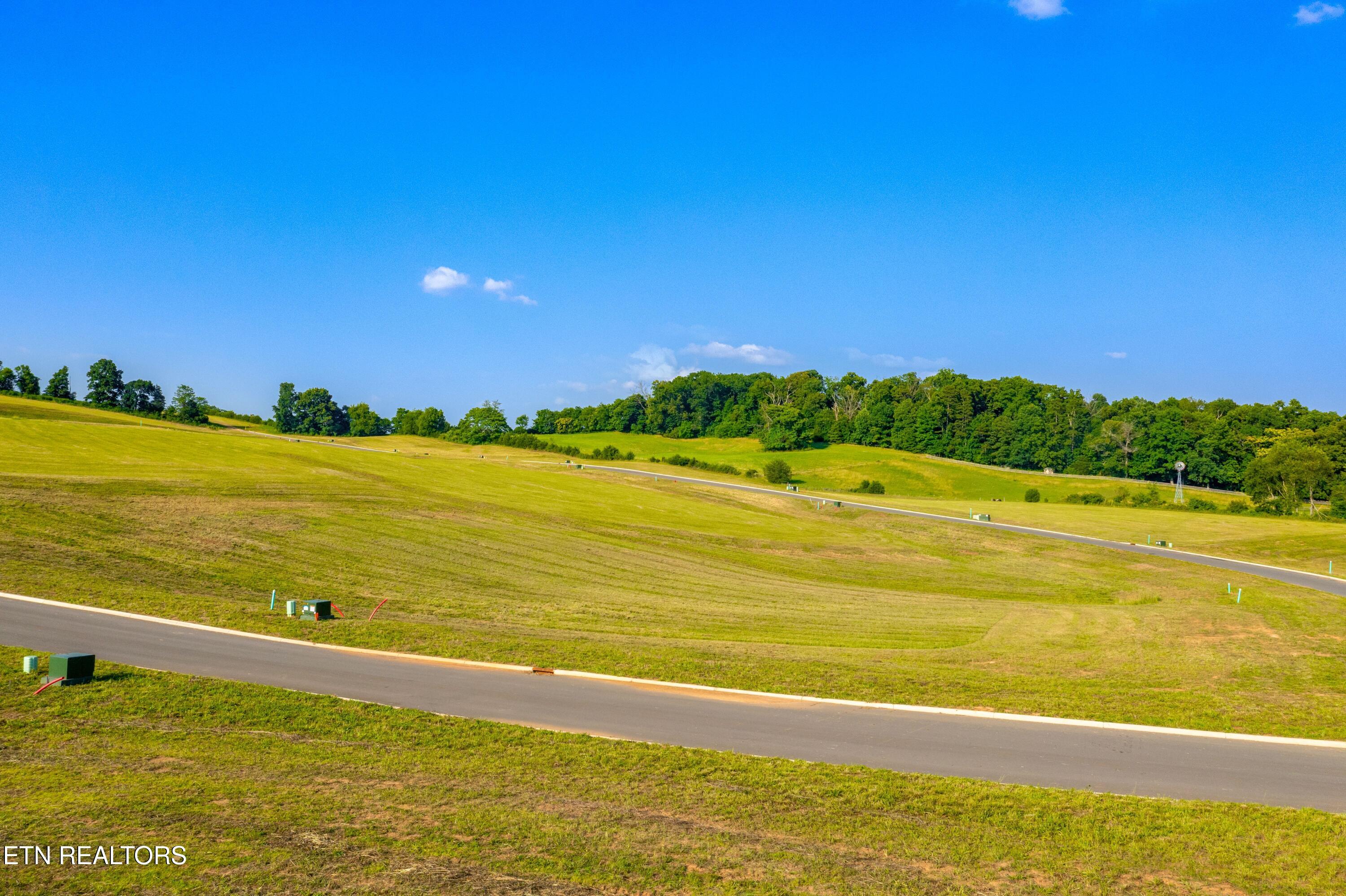 Lot 71 Vista Ridge Drive White Pine TN 37890