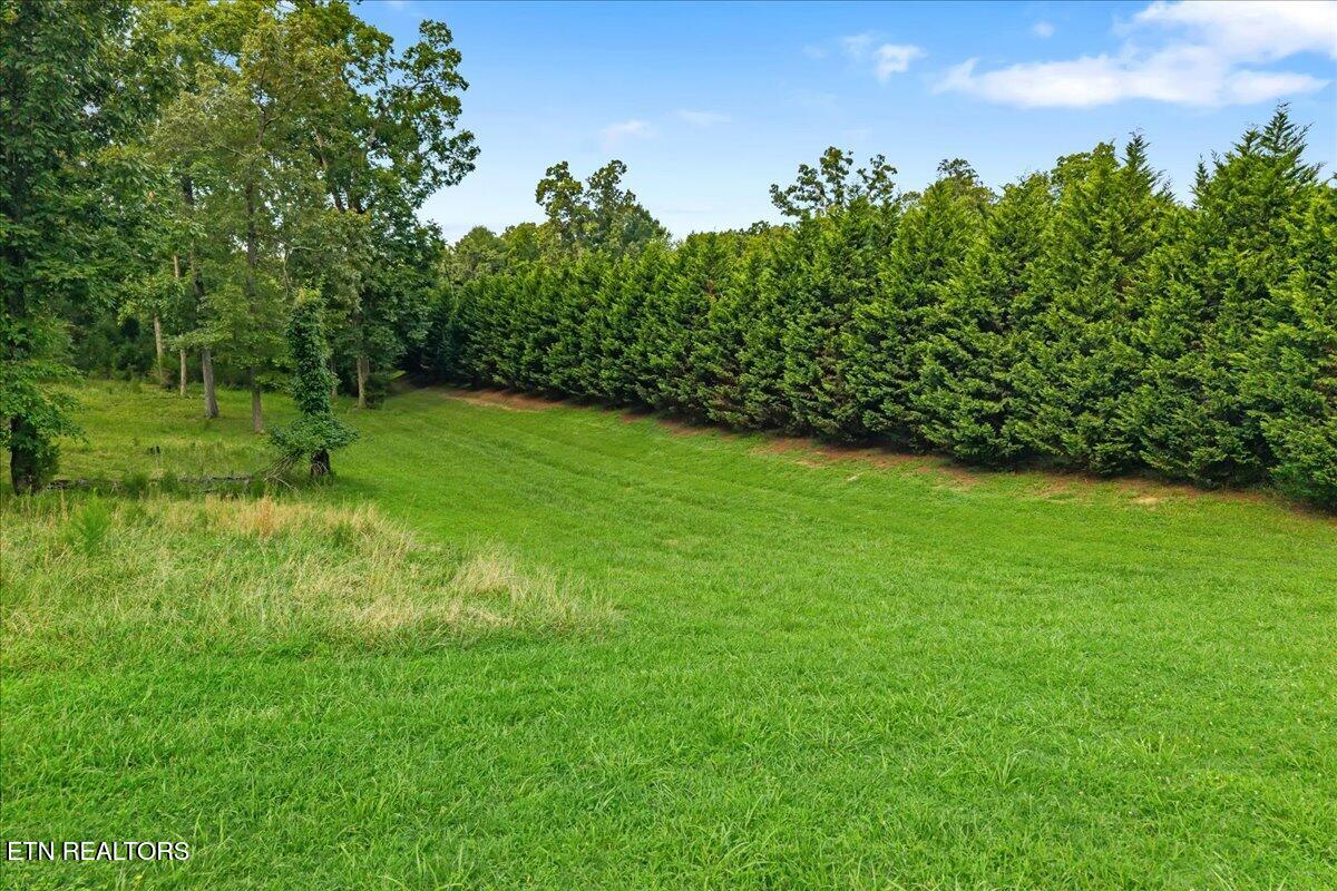 421 Waterfront Way Spring City TN 37381