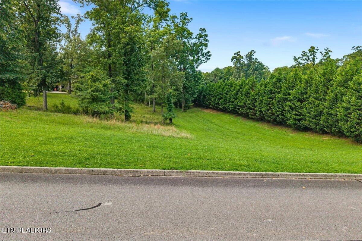 421 Waterfront Way Spring City TN 37381