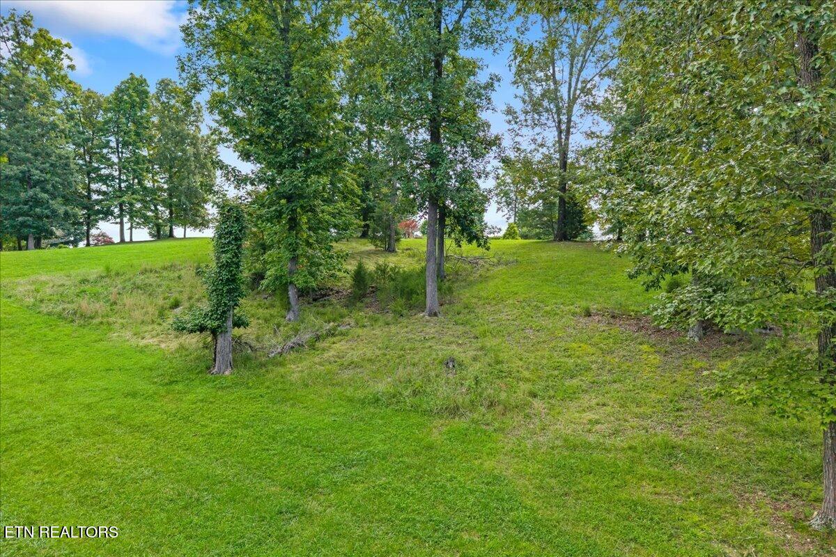 421 Waterfront Way Spring City TN 37381