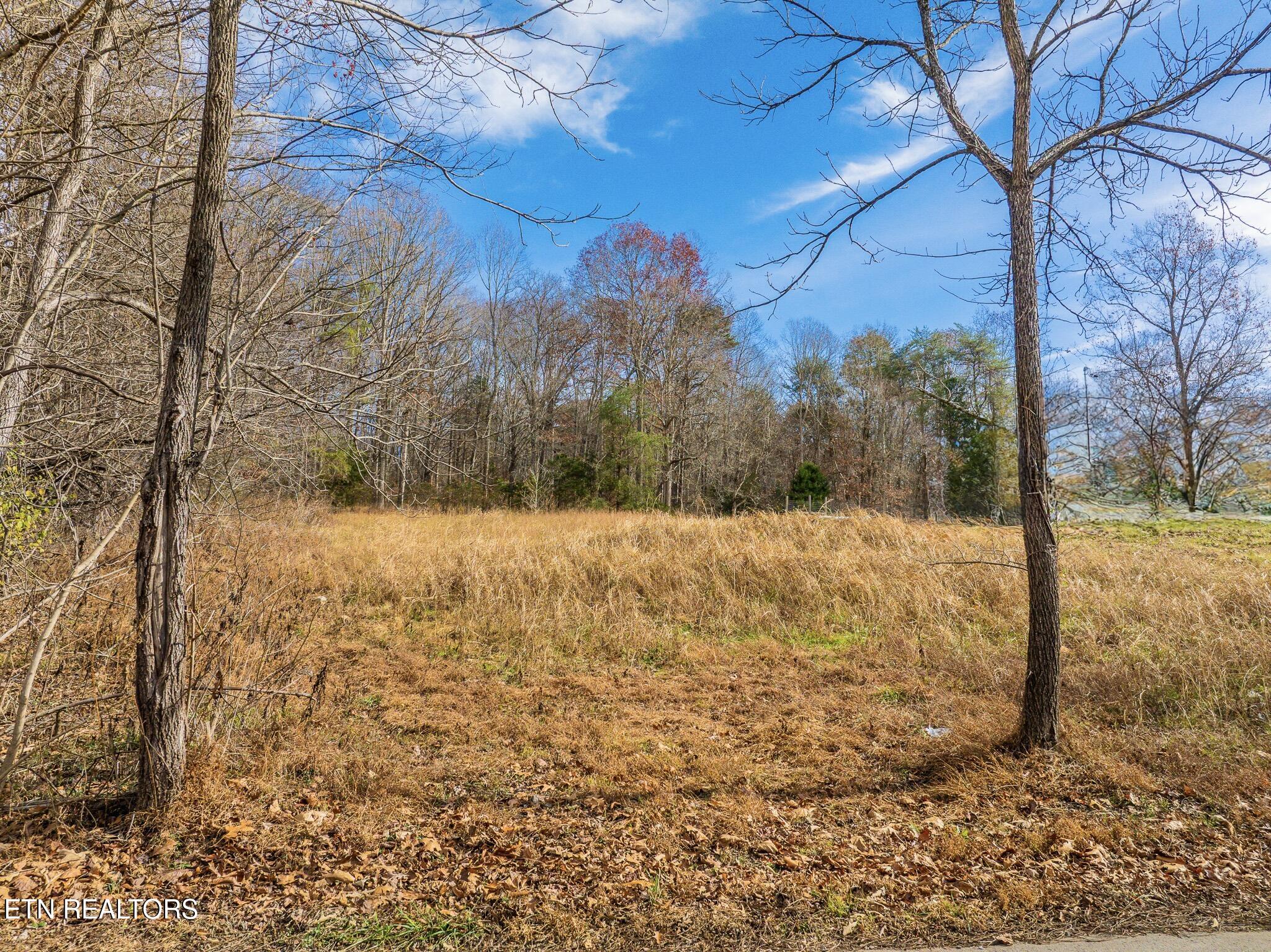 Collins Road Blaine TN 37709