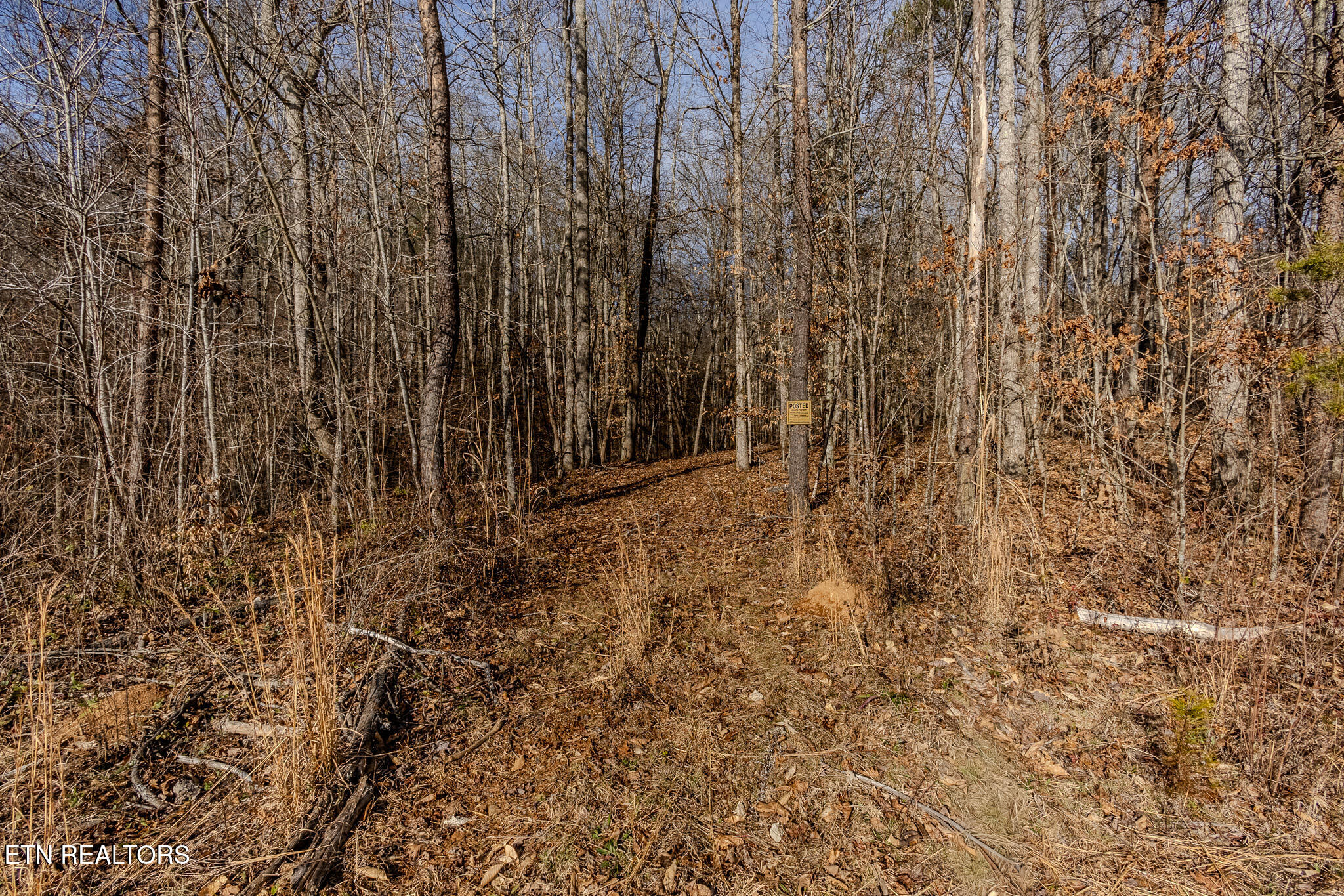210 Dogtown Road Ten Mile TN 37880