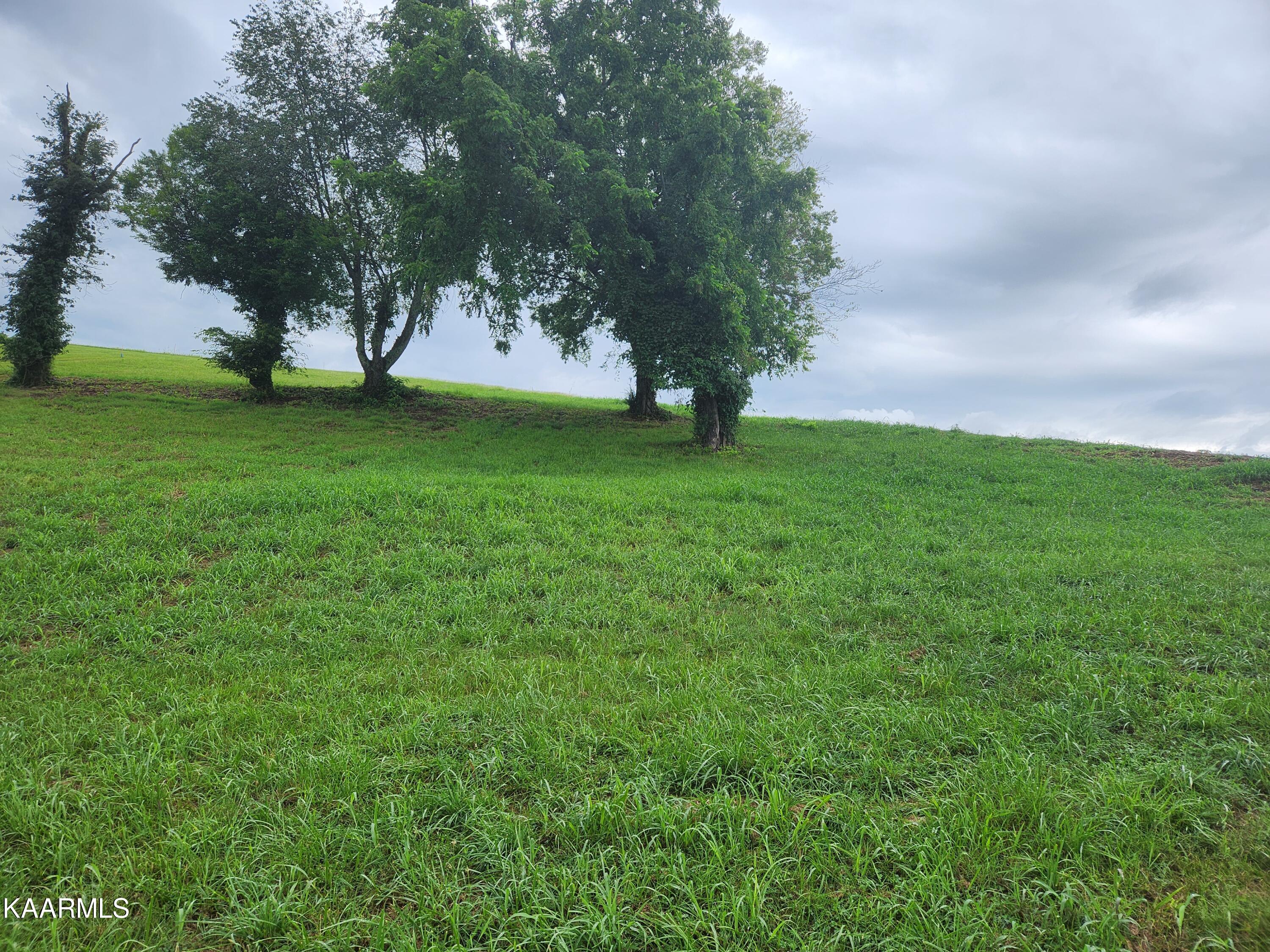 2257 Windswept Way Morristown TN 37814