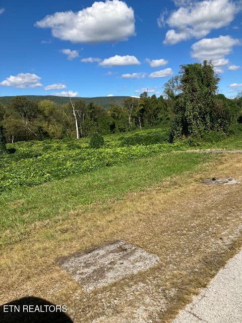 0 Rhea County Hwy / Highway 27 Spring City TN 37381