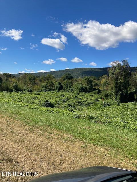 0 Rhea County Hwy / Highway 27 Spring City TN 37381
