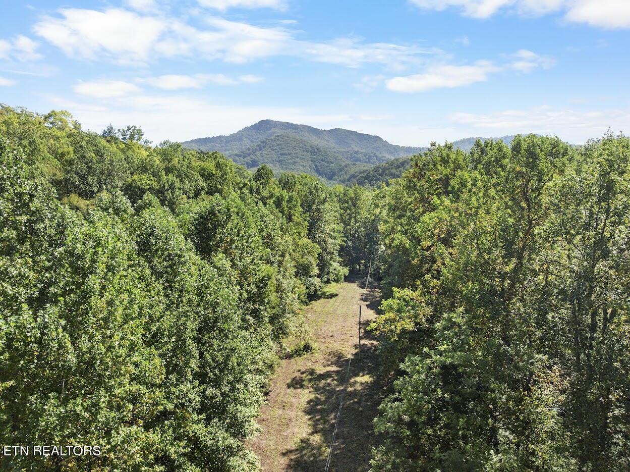 Par 033.01 South Highway 32 Cosby TN 37722