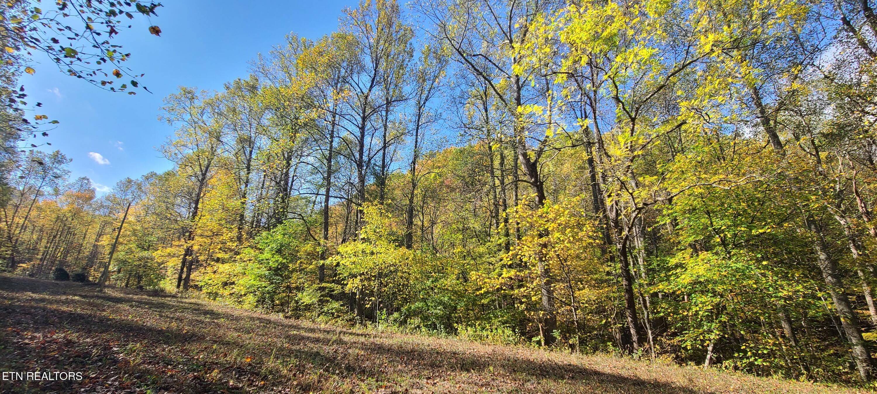 Par 033.01 South Highway 32 Cosby TN 37722